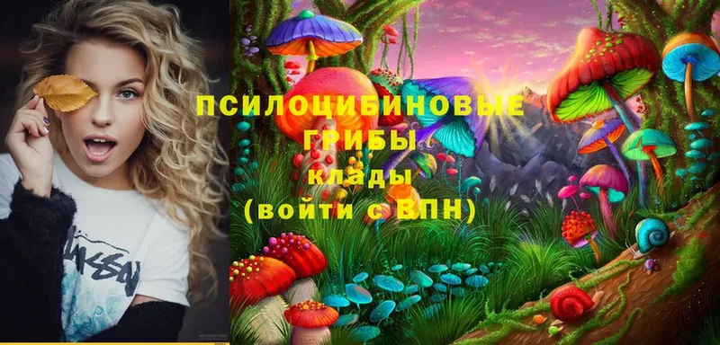 Галлюциногенные грибы Magic Shrooms  Дальнегорск 